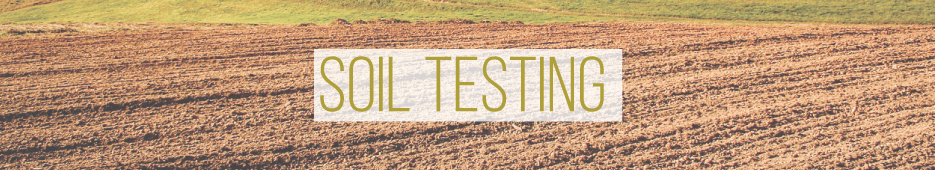 The Organic Heir | Soil Testing
